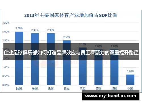 企业足球俱乐部如何打造品牌效应与员工凝聚力的双重提升路径