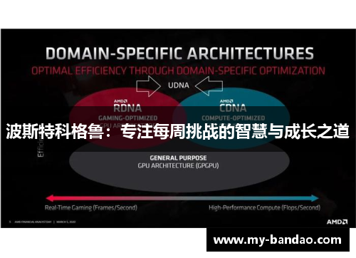 波斯特科格鲁：专注每周挑战的智慧与成长之道