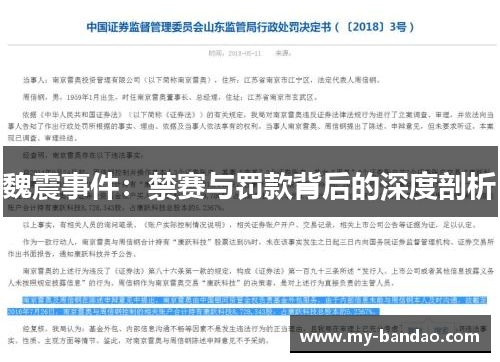 魏震事件：禁赛与罚款背后的深度剖析