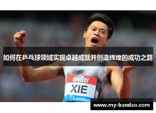 如何在乒乓球领域实现卓越成就并创造辉煌的成功之路