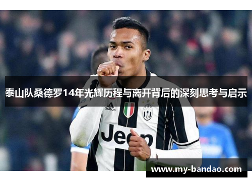 泰山队桑德罗14年光辉历程与离开背后的深刻思考与启示