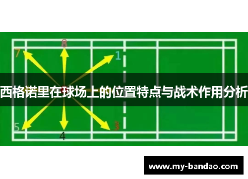 西格诺里在球场上的位置特点与战术作用分析