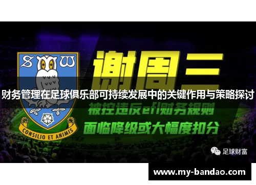 财务管理在足球俱乐部可持续发展中的关键作用与策略探讨